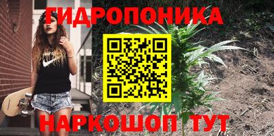 кокс Кандалакша