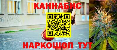 PSILOCYBIN Камышлов